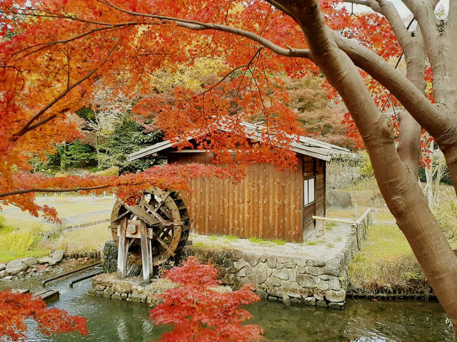 The Solo Day Out: Higashiyama Zoo & Botanical Gardens The Solo Day Out: Higashiyama Zoo & Botanical Gardens