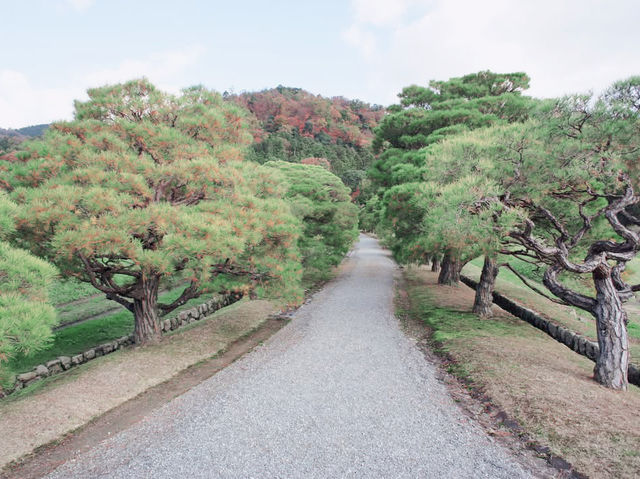 An Emperor's Autumn: A Solo Visit to Shugakuin Imperial Villa