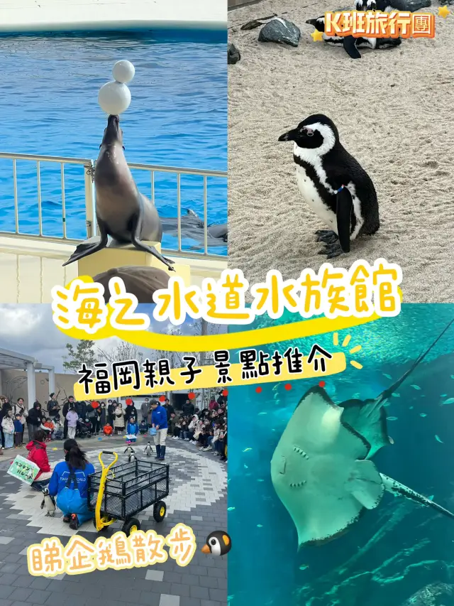 Fukuoka Family-Friendly Attraction: Marine World Uminonakamichi Aquarium