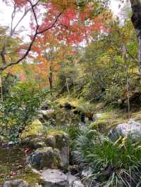 🍁✨โอซาก้า (Osaka)” ฤดูใบไม้เปลี่ยนสี