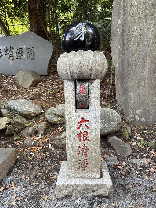 米其林三星的秋日絮語～滿山紅葉的高尾山