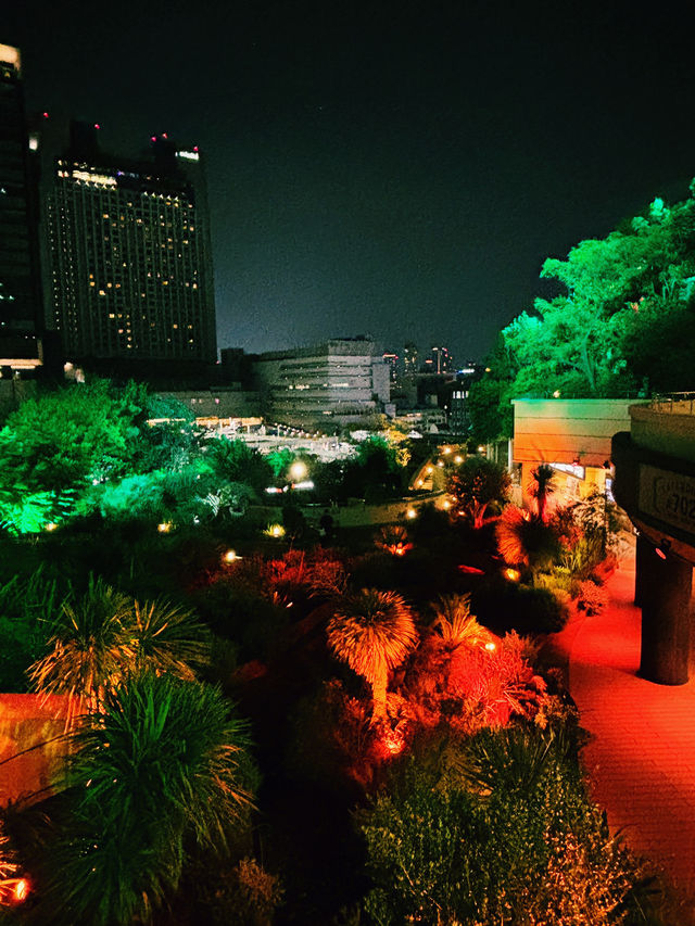 難波隱秘的綠洲：Parks Garden的迷人夜晚 🌌🌿