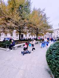 The Ultimate Fall Adventures in Milan 🍂✨