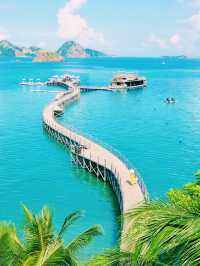 印尼🇮🇩科莫多島繽紛色彩