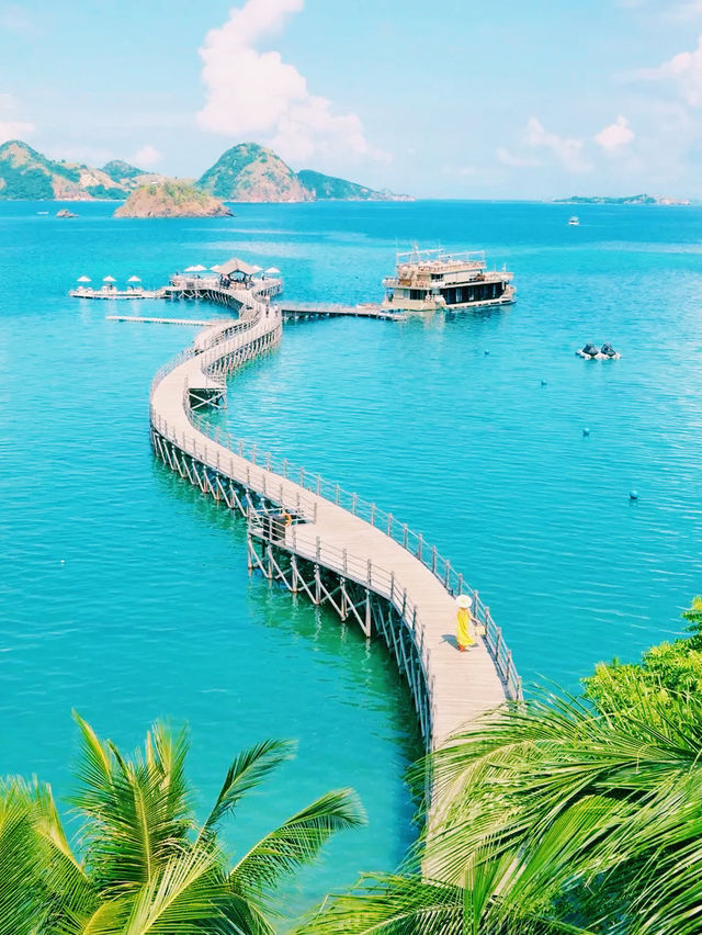 印尼🇮🇩科莫多島繽紛色彩