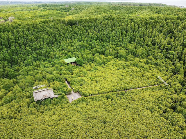 ทุ่งโปรงทอง ระยอง ทุ่งโปรงทอง ระยอง