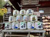 《巨杉守護的靜謐時光•北口本宮富士淺間神社》