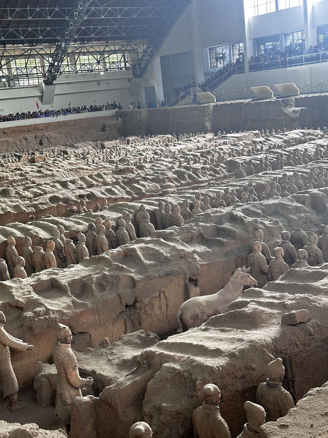 日落雲霧裡的貓影西安 日落雲霧裡的貓影西安