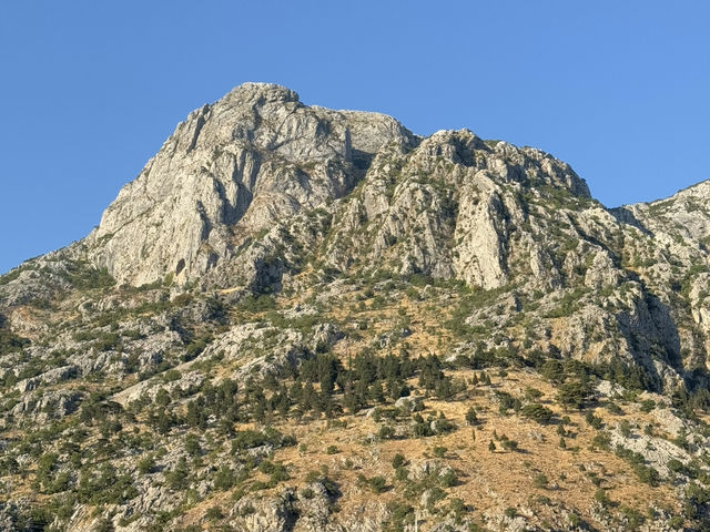 ⛵✨ KOTOR HARBOR — THE GATEWAY TO ADRIATIC BEAUTY 🇲🇪🌊 ⛵✨ KOTOR HARBOR — THE GATEWAY TO ADRIATIC BEAUTY 🇲🇪🌊