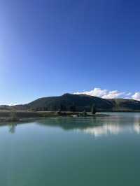 念願のTekapo⛪️⭐️ルピナスが咲き誇ってた!