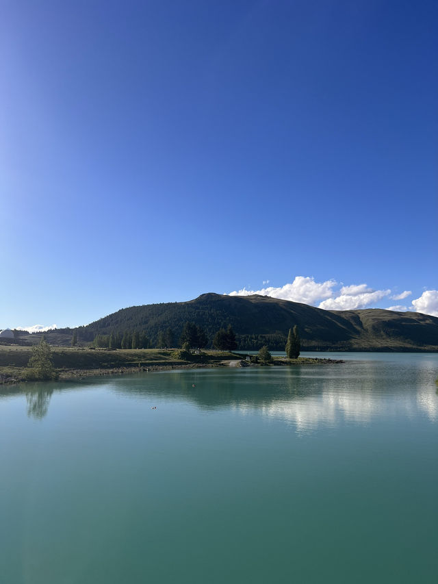 念願のTekapo⛪️⭐️ルピナスが咲き誇ってた! 念願のTekapo⛪️⭐️ルピナスが咲き誇ってた!
