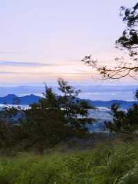 พุทธอุทยานดอยจิกจ้องฆ้องคำ