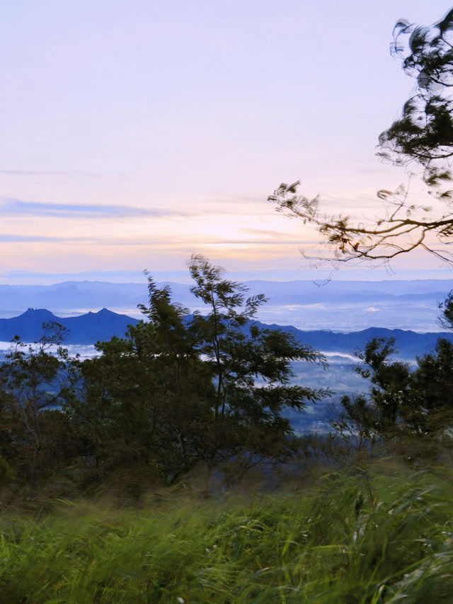พุทธอุทยานดอยจิกจ้องฆ้องคำ พุทธอุทยานดอยจิกจ้องฆ้องคำ