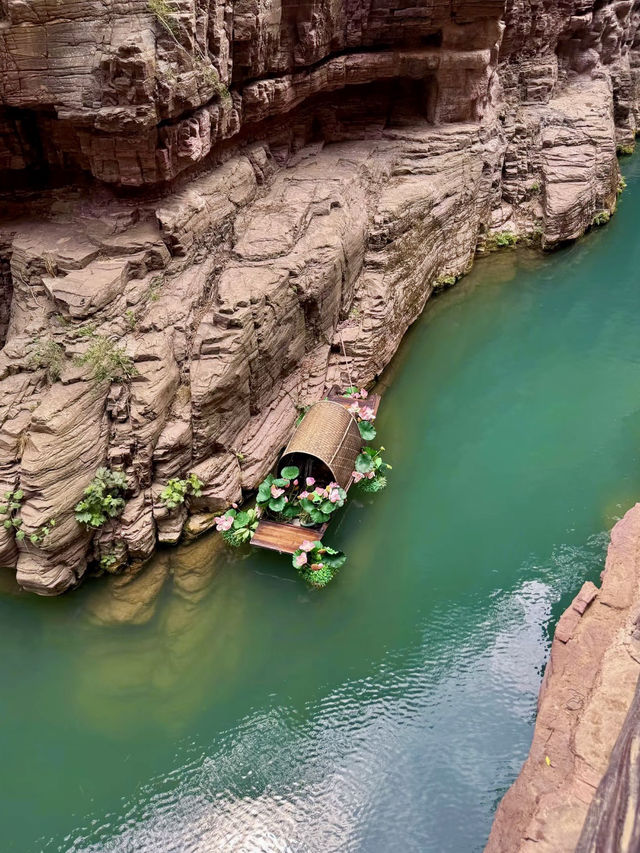 雲端上的山水畫——雲台山春日漫旅