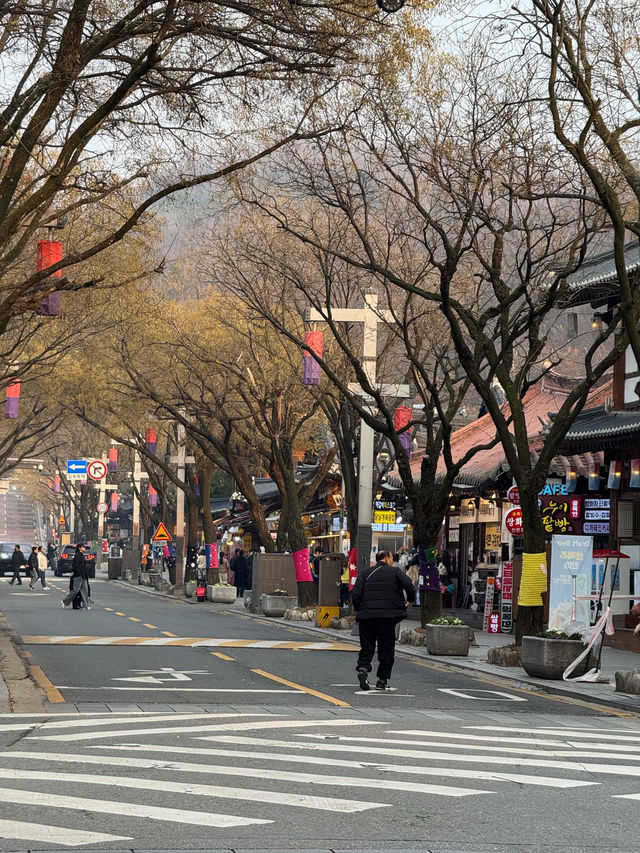 Sunny City Walk🌞 Sunny City Walk🌞