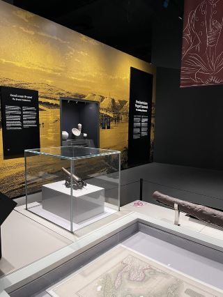 Uncover History at the Deep Skull Findings Gallery 