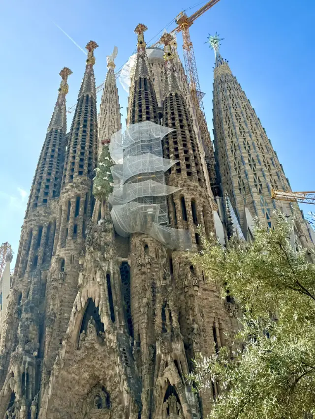 Barcelona Highlights✨