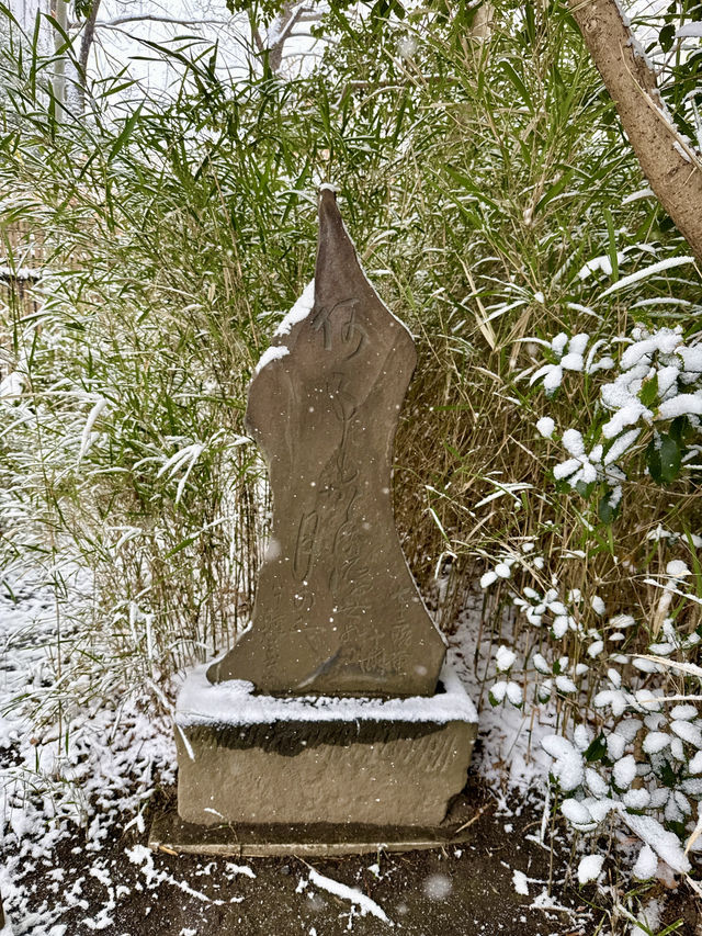 Snow-Covered Paths Through History