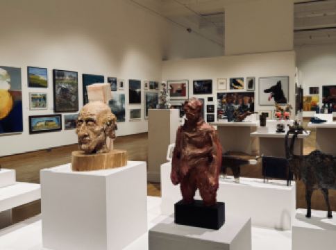 🏛️ Irish History & Culture at Ulster Museum