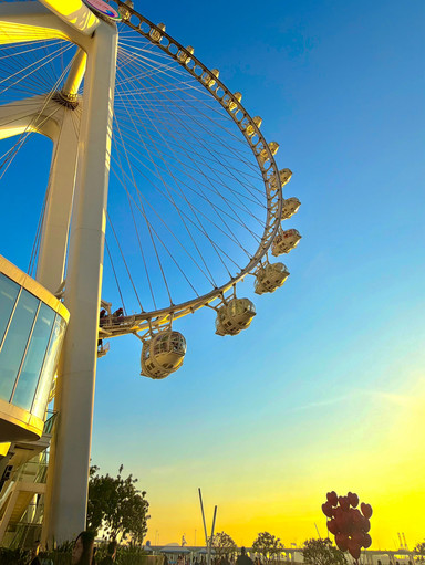 その他 Glory Ferris Wheel GLASS 1mi22224x98lff6oq66B6_Q90.jpg?