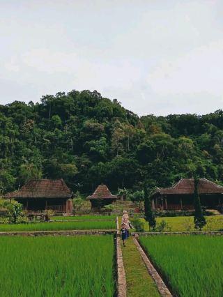 วิลล่าลับใจกลางหุบเขาโบกอร์ (Bogor)