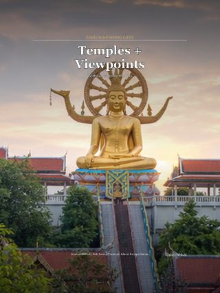 🛕 遊覽大佛、寺廟和觀景點，不浪費一天時間