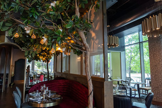 Artistic Dining Rooms, a Playful Starter, and Dinner at Amrina