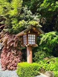 🇯🇵東京新手入門教學！地鐵輕鬆穿梭景點、美食、購物全攻略