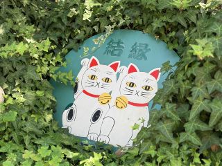 🐱⛩️ 二訪今戶神社｜太喜歡這裡的貓咪守護了，忍不住再來一次！✨
