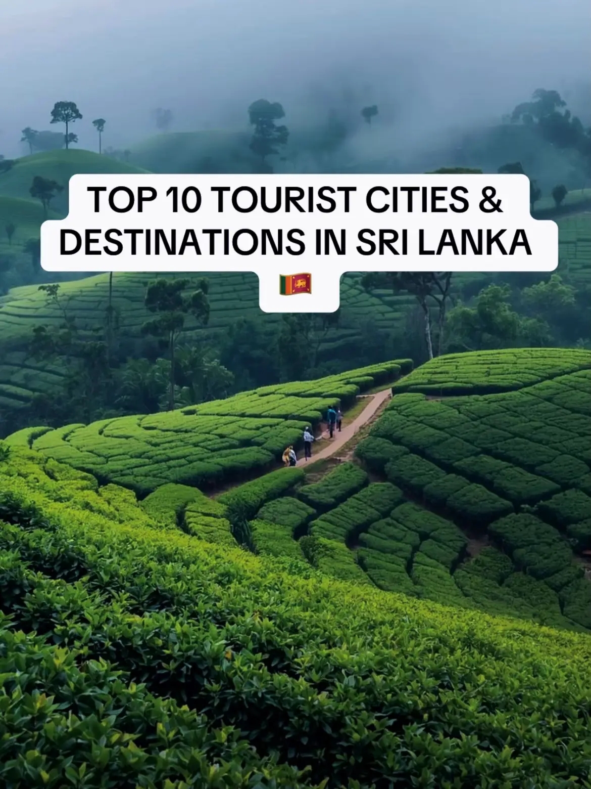 Top 10 Sri Lankan tourist cities & destinations.