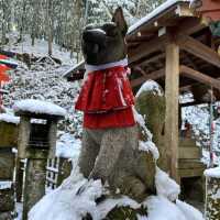 Snowy Kyoto