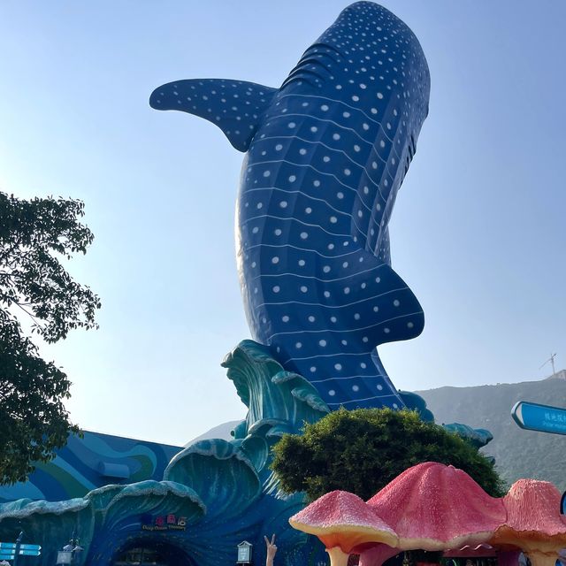 珠海長隆兩天一夜套票怎麼玩！🐬🐳🐋🎢😆