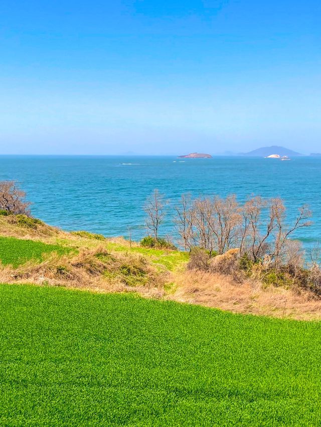 바다와 유채꽃을 한번에, 전북 부안 여행🌼
