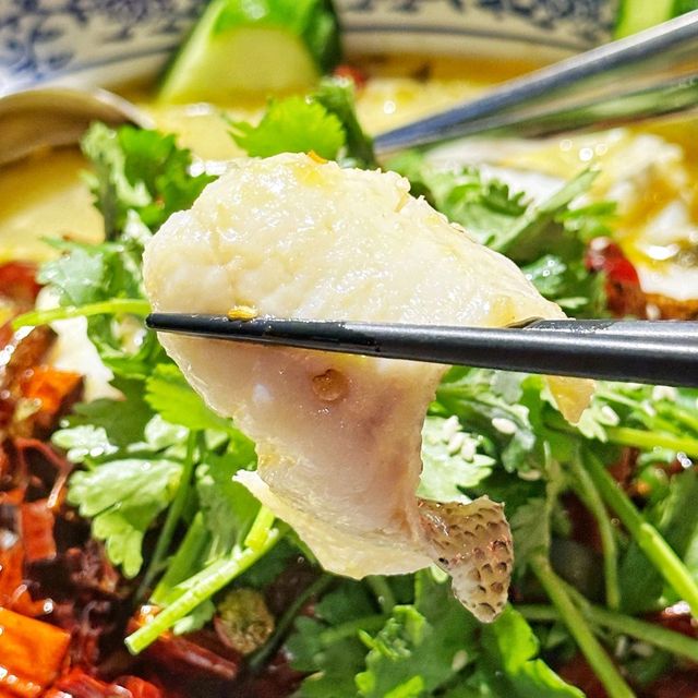美味🥬酸菜魚🐟抵食花膠🐓雞絲翅