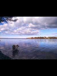 Anson's Bay Tasmania natures masterpiece