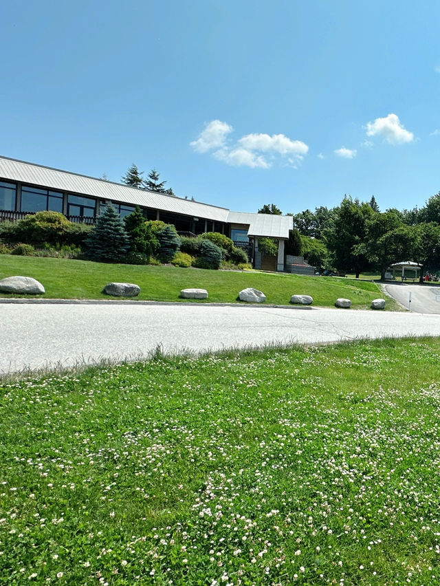 Vancouver한인타운 근처에 한번쯤 꼭 가볼만한 Burnaby Mountain Park👍🏻