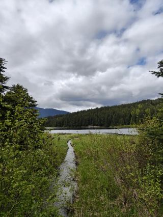 Canada's Whistler Hiking Adventure - A Stunning Encounter with Gondolas and Glacier Lakes