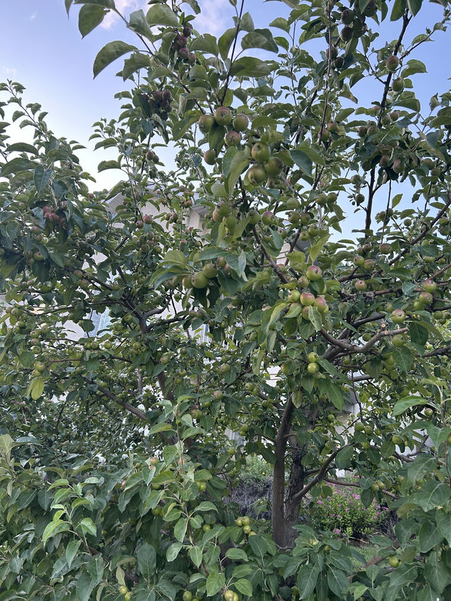 寧靜的天空 高質生活 