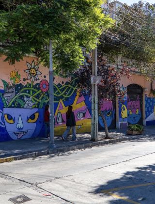 Cerro Alegre and Cerro Concepción - A hillside walk, street art, colorful houses, and the best views