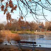 Love autumn in Park Edwarda Szymańskiego 😍