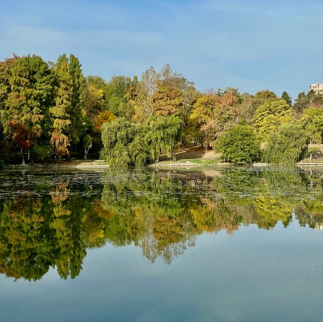 Morning Magic in Tineretului Park