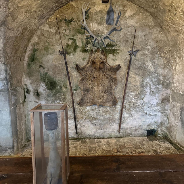 Meersburg Castle 🇩🇪