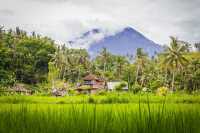 Bali's Tropical Paradise Escape