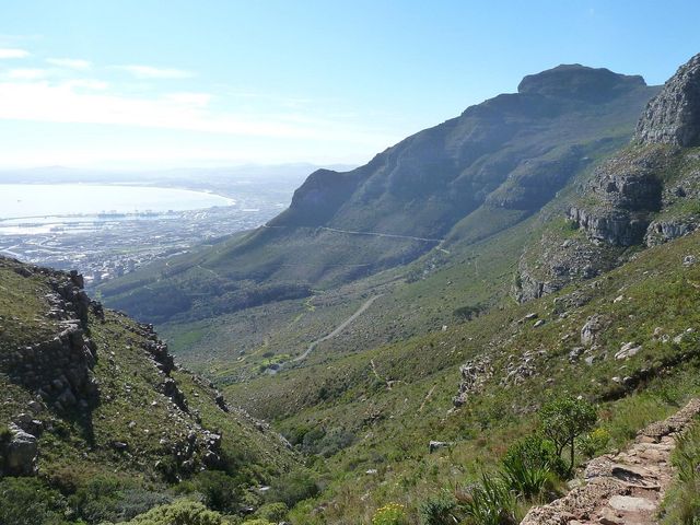 Captivating Cape Town: Nature & Culture