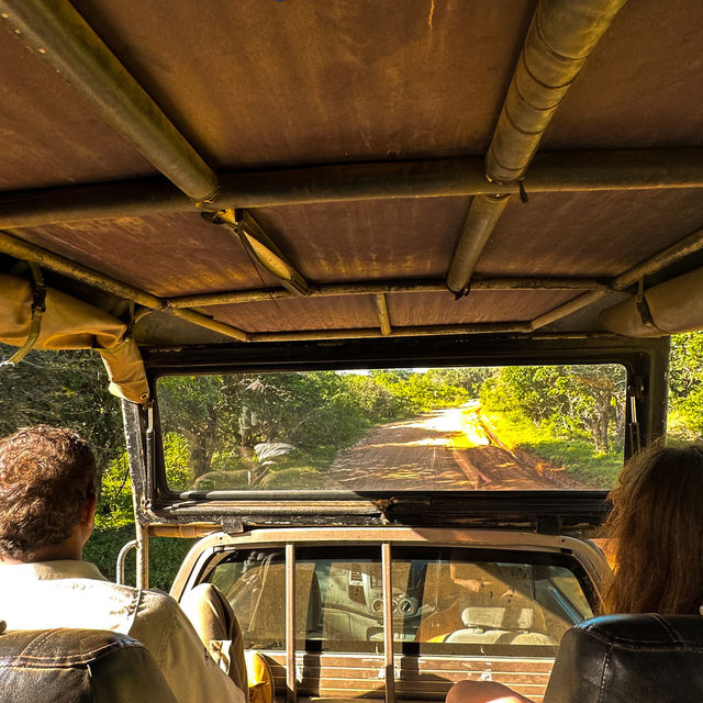 Safari in Sri Lanka with Cinnamon Hotels 