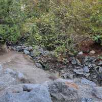 Avakas Gorge Nature Trail 🗺️