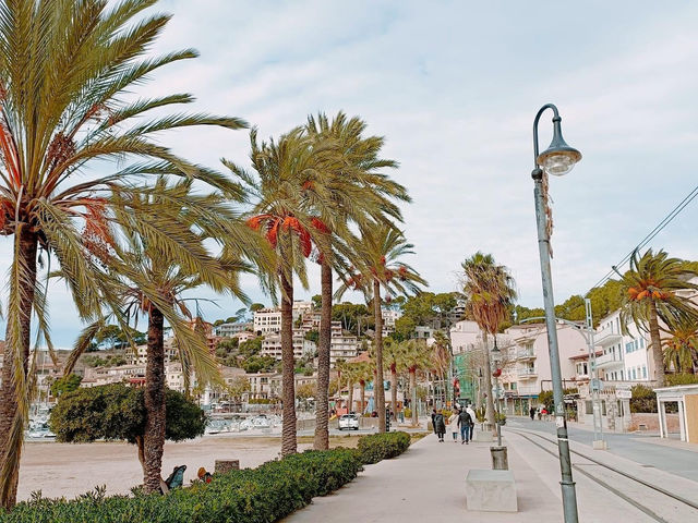 Palma de Mallorca 🇪🇸