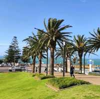 Hello! It’s Me. Summerstrand, Port Elizabeth 