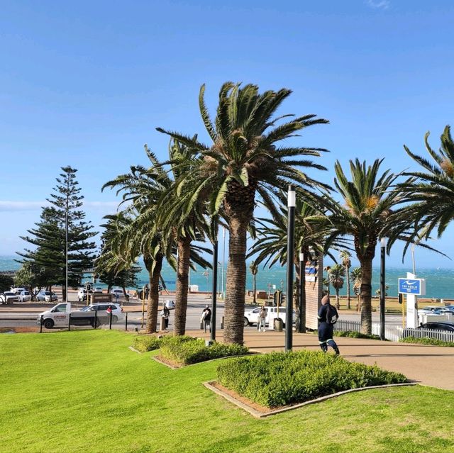 Hello! It’s Me. Summerstrand, Port Elizabeth 