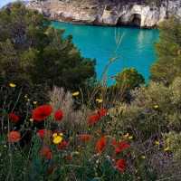 Madeira the dream land